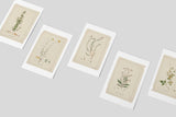 Botanical Wild Flowers Print Set of 6, Vintage Farmhouse Gallery Wall Decor, Botanical Floral Art, French Gray Flowers Art