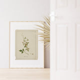 Botanical Wild Flowers Print Set of 6, Vintage Farmhouse Gallery Wall Decor, Botanical Floral Art, French Gray Flowers Art
