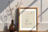 Botanical Wild Flowers Print Set of 6, Vintage Farmhouse Gallery Wall Decor, Botanical Floral Art, French Gray Flowers Art