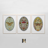 Frogs at the Magical Woods, botanical illustrations, magic art print, boho Aesthetic, Frog art print, Cottagecore Nature print, moths giclee