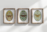 Moths and Nature, botanical illustrations, magic art print, boho Aesthetic, Butterfly art print, Cottagecore Nature print, moths giclee
