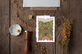 Magical Moths Postcards - Set of 6 -Butterflies Greeting Cards - Moths Stationery - PSC009