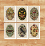 Magical Moths Postcards - Set of 6 -Butterflies Greeting Cards - Moths Stationery - Frogs Art - PSC041