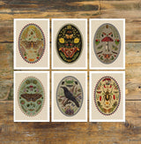 Magical Moths Postcards - Set of 6 -Butterflies Greeting Cards - Moths Stationery - Frogs Art - PSC041