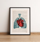 Heart and Lungs Anatomy Print