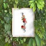 Roses Spine