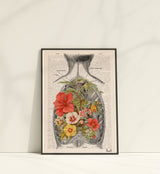 Open Back human Anatomy Print