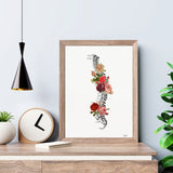 Roses Spine