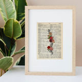 Roses Spine