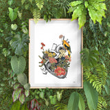 Anatomical Heart Print