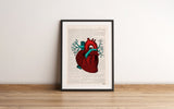 Human Heart Anatomy study art