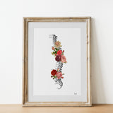 Roses Spine
