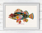 Hawaiian Fish(Pilikoa) Print
