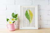 Green fern n02 art print