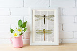 Dragonflies illustration