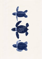 Little turtles in blue