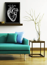 Human heart black background anatomy art wall