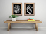 Human heart black background anatomy art wall