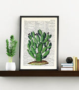 Opuntia Cactus art print