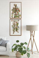 Human Skeleton in two parts White paper background