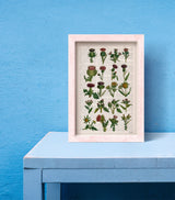 Sister gift, Cardoon collection Print on Vintage Dictionary Book page, Wild flora art, Wall art naturalist illustration  BFL230