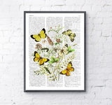 Wild Flowers and butterflies