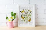 Wild Flowers and butterflies
