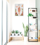 Woman Anatomy Poster