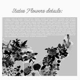 United States Flowers Botanical Map