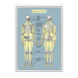 Skeleton System Anatomy Wall Art