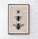 Save the Bees
