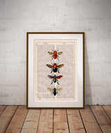 Bees and Bumblebees