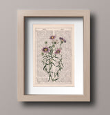 Wild daisies in lilac