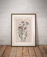 Wild daisies in lilac