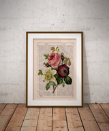 Floral Bouquet of Anemones and Roses