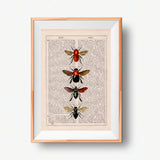 Bees and Bumblebees