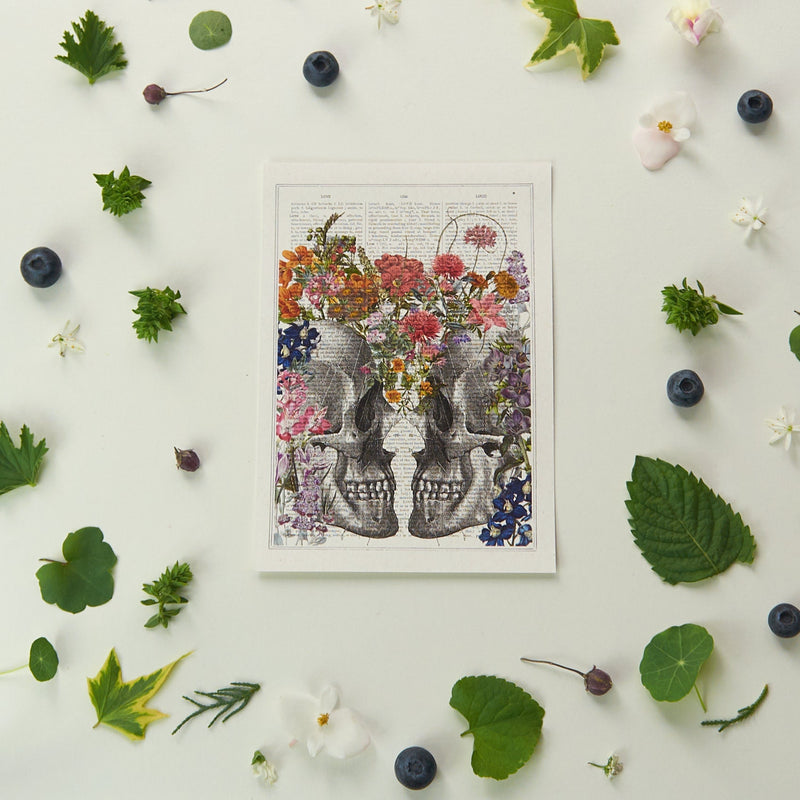 Multicoloured Flower Anatomy Postcards