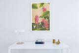 CurcumaOriental Flowers Poster