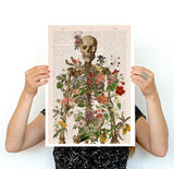 Full Human Skeleton two parts book page reproduction background