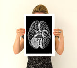 Christmas Gift Wall decor Anatomical Art Poster - Set of 3 - - Flower Anatomy - Botanical Anatomy Print - Medical Art Print - SET005