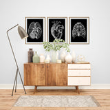 Human heart black background anatomy art wall