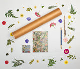 Dotted Begonias Flower Poster