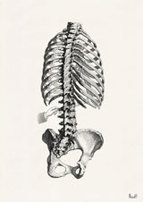 Xmas Svg, Wall art print SALE : Set of six  Black and white Anatomy collection, any six images of your choice with an special price  SET017