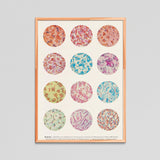 Bacteria Collection. Science student gift.