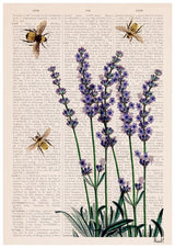 Gift Idea, Christmas gifts for mom, gift Set - Posters Set of 3 - Lavender Flowers and bees - Botanical Art Print - Wild flowers art -SET026
