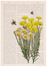 Gift Idea, Christmas gifts for mom, gift Set - Posters Set of 3 - Lavender Flowers and bees - Botanical Art Print - Wild flowers art -SET026