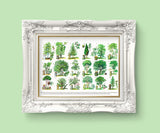 Trees types Eucational Art