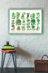 Trees types Eucational Art