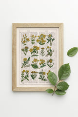 Yellow Wild flowers