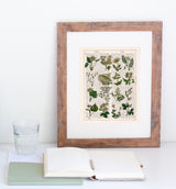 Ivory Wild flowers